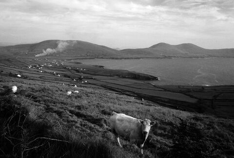 15/74 Toghroinn Fhionain, Killonecaha. County Kerry. Ireland.